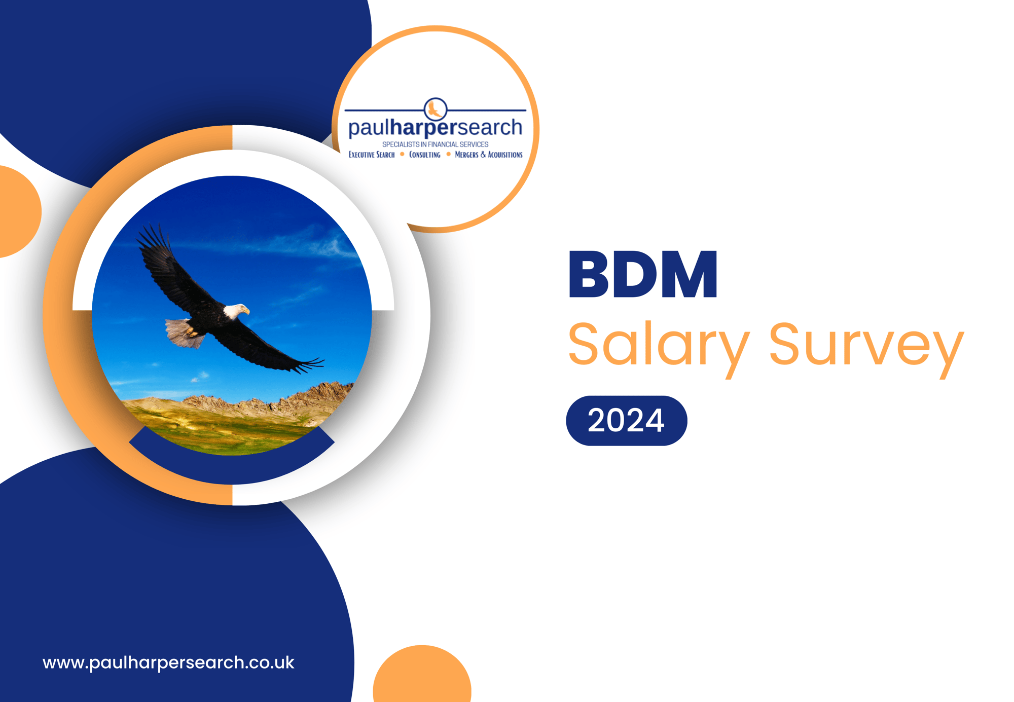 2024 BDM Salary Survey A4 (2) (1)